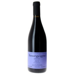 Bourgogne rouge 2023 - Sylvain Pataille