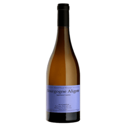 Bourgogne Aligoté 2023 - Sylvain Pataille